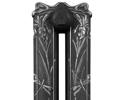 Dragonfly cast iron radiator highlight polish